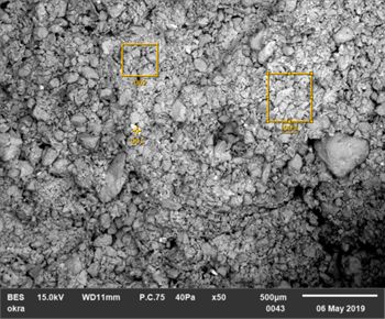 Nauportus. Red nodule (PN 1000) sample under SEM with marked spots of EDS analyses.