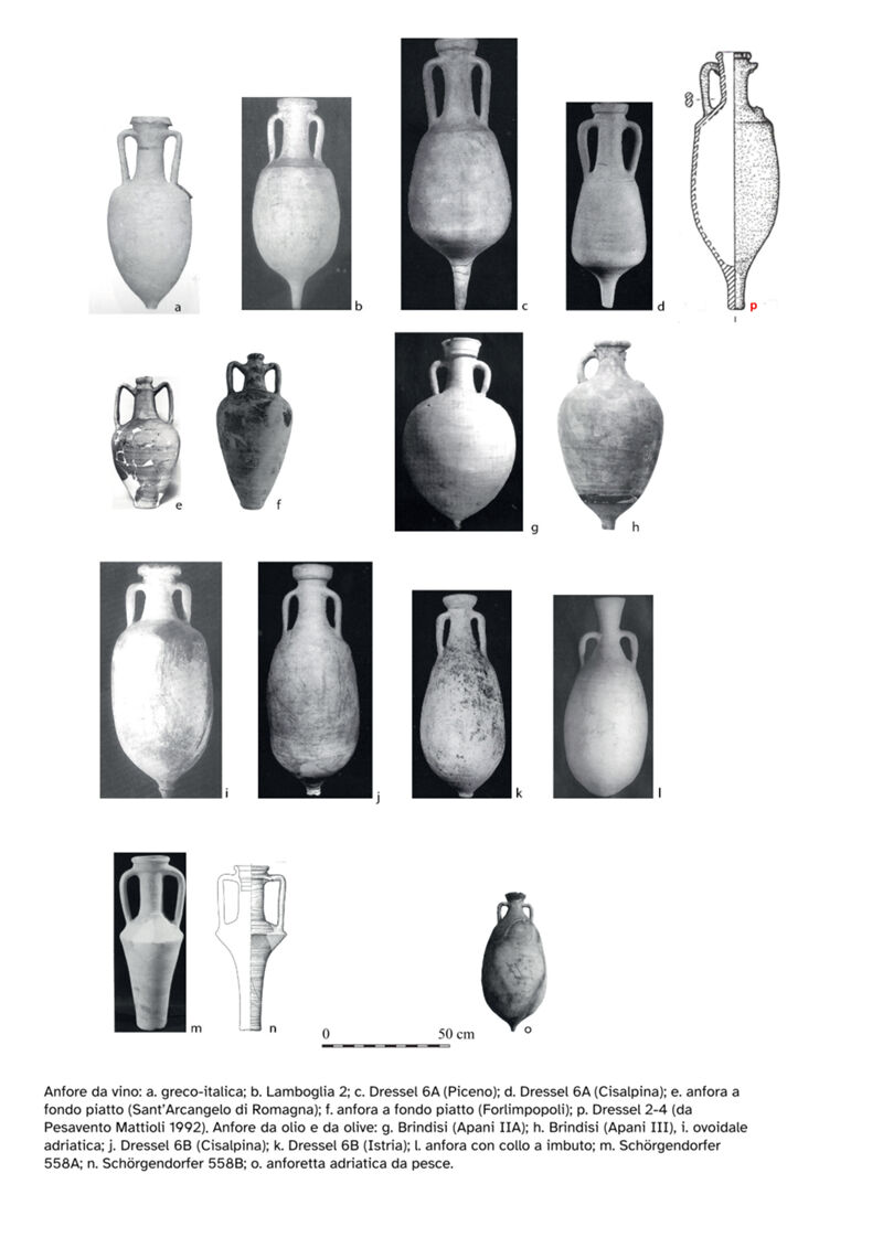 Principali tipi di anfore citate nel testo, scala approssimativa 
(da Carre & Pesavento Mattioli 2021; in rosso rielaborazione Lucilla D’Alessandro 2023). 
