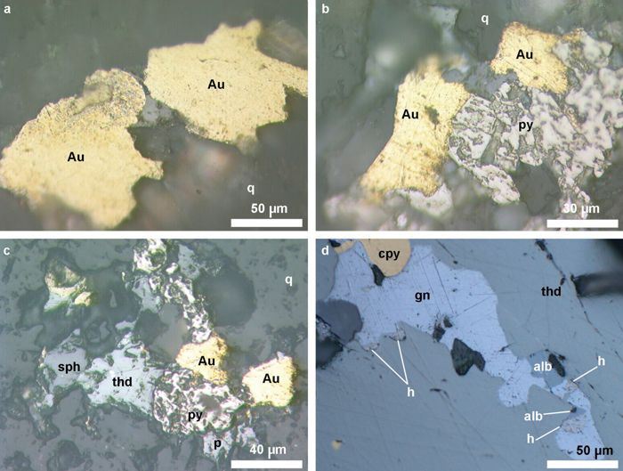  Images au microscope optique polarisant en réflexion de minerais Au-Ag exploités (a-c) 
et non-exploité (d) par les Romains dans le massif de Cârnic, Roșia Montană : a. Grains d’or (électrum) 
dans quartz (Cârnic 4 inf. - sud) ; b. Or et pyrite dans quartz (Cârnic 4 inf. - sud) ; c. Or, polybasite (p), pyrite (py), 
cuivre gris (thd), blende (sph) et chalcopyrite (cpy) dans quartz (Cârnic 4 inf. - sud) ; d. Paragénèse minéraux Cu-Pb-Ag-Te-Ge 
du filon Cârnicel avec cuivre gris (thd), galène (gn), hessite (h), alburnite (alb), chalcopyrite (cpy) au niveau minier Vercheș.
