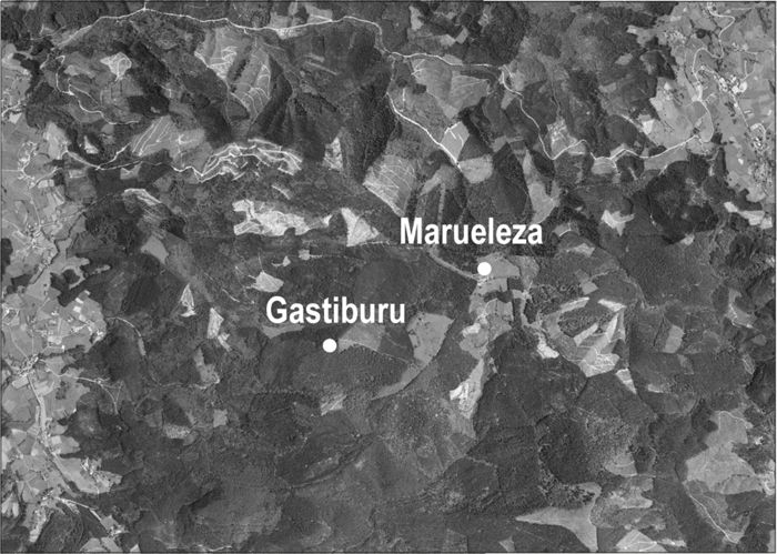 La crestería de Gastiburu, oppidum y santuari