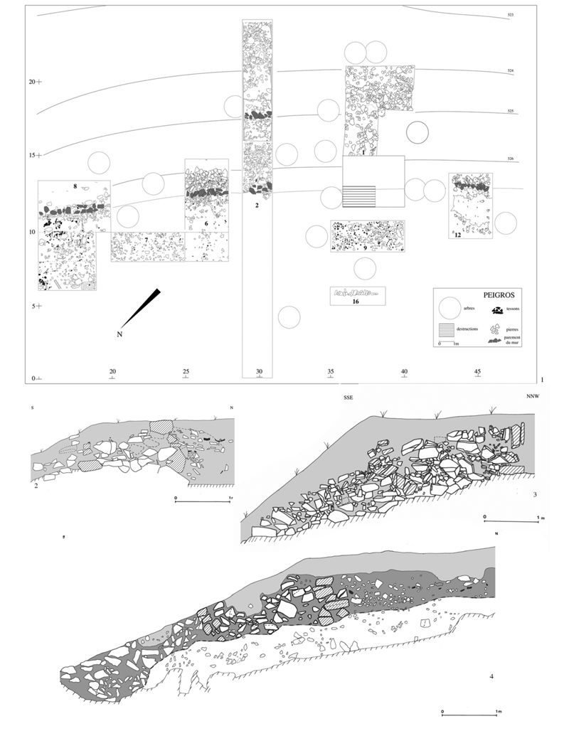  Plan des sondages : en grisé les blocs du parement interne et du parement externe. En T16, l’alignement de petites dalles obliques appartenant sans doute à un bord de case ; en T1 noter le large trou de poteau implantée au milieu du mur en noir les tessons de céramiques ; en contour les pierres ; les cercles représentent les arbres (PAO Maurice Hardy) ; 2. Coupe S-N de la tranchée 2 (en grisé, le sédiment encaissant ; en hachuré, les blocs provenant des parement ; en avant du parement interne, la berme au cailloutis) ; 3. Coupe SSE- NNW de la tranchée 15 (en grisé, le sédiment encaissant ; en hachuré, les blocs provenant des parements) ; 4. Coupe nord-sud de la tranchée 14 (en grisé foncé, le sédiment encaissant ; en grisé clair, le sol superficiel ; en hachuré, les blocs provenant des parements).