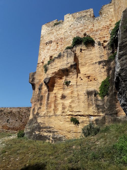 Photograph of the calcirudite quarry in Montesa. The dating of the vertical tubular extraction hollows visible at the base of the medieval fortification is uncertain
(photo: Jaime Vives-Ferrándiz).
