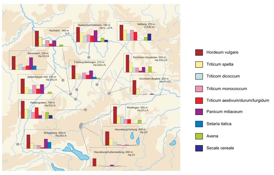 Steadiness of species, based on features for Iron Age Cereal grains in Southwest Germany for important sites.