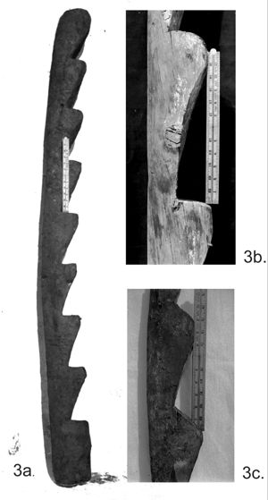 a. Monoxyle ladder from Mavrovouni. 
b. Steps in the Mavrovouni ladder are perpendicular to the long axis. c. Steps in the Skouriotissa ladder are at an angle. (Photos from D.M. Creveling archive).