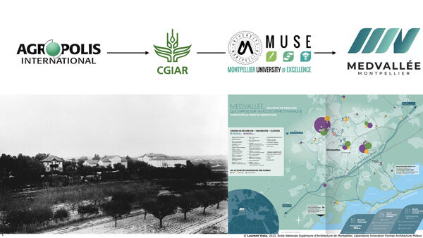 Fig. 8. De l'école d'agriculture à MedVallée : une logique de reproduction à l’œuvre (Agropolis international, CGIAR, Université de Montpellier, Montpellier Méditerranée Métropole ; montage : Laurent Viala, 2023).