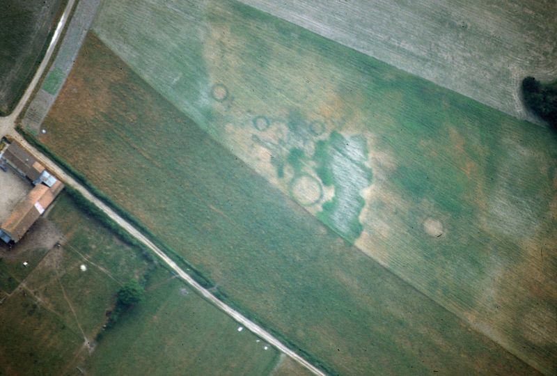  Vue aérienne du site à enclos circulaires des “Terres au Prieur“ à Cosne-sur-Loire, noter au bord droit du cliché l’emplacement d’un tumulus à structure de pierres très arasé.
