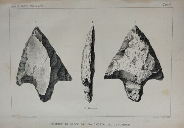 L'énorme pointe de flèche de Breonio (fausse), à laquelle Pigorini attribue une signification votive (de Pigorini 1885).