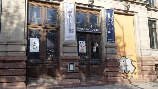 Fig. 2. Frontispice du Musée zoologique. Université de Strasbourg et Ville de Strasbourg (cliché L. Buchholzer, 17/10/2023).