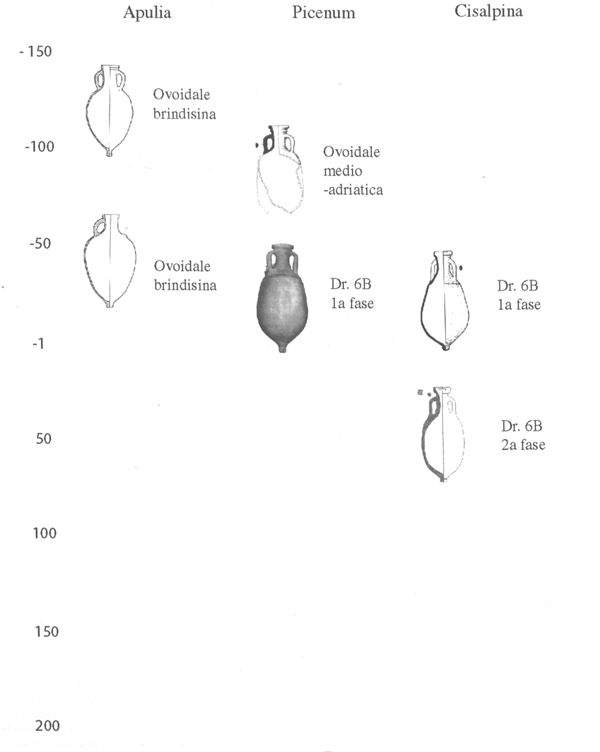 Seriazione delle anfore olearie adriatiche (da Carre & Pesavento 2003a).
