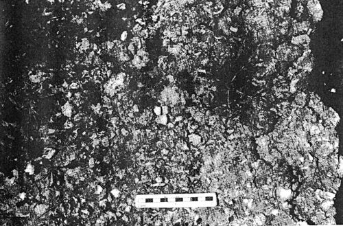 Sabratha, sol fait avec du mortier fabriqué avec des coquilles de murex (Wilson 1999, fig. 16).
