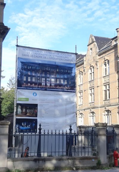 Fig. 1. Musée zoologique, rénovation dans le cadre de l’Opération Campus (cliché L. Buchholzer, 17/10/2023).
