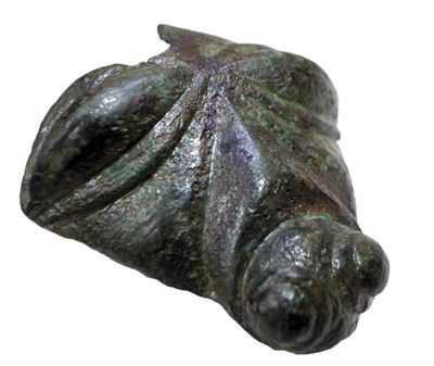  Museum of Archaeology, Varna. Unprovenanced bronze head from north-eastern Bulgaria. L 42 mm, W 43 mm (photo J. Anastassov).