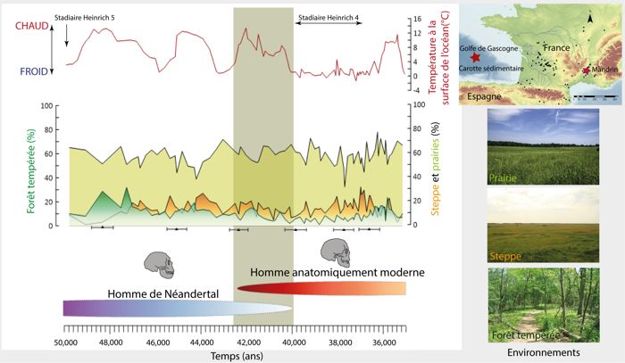 Comparaison des changements environnementaux et climatiques avec les intervalles de temps modélisés de Néandertal et l’Homme anatomiquement moderne. Carte de localisation de la carotte sédimentaire marine d’où proviennent les extraits les grains de pollen.