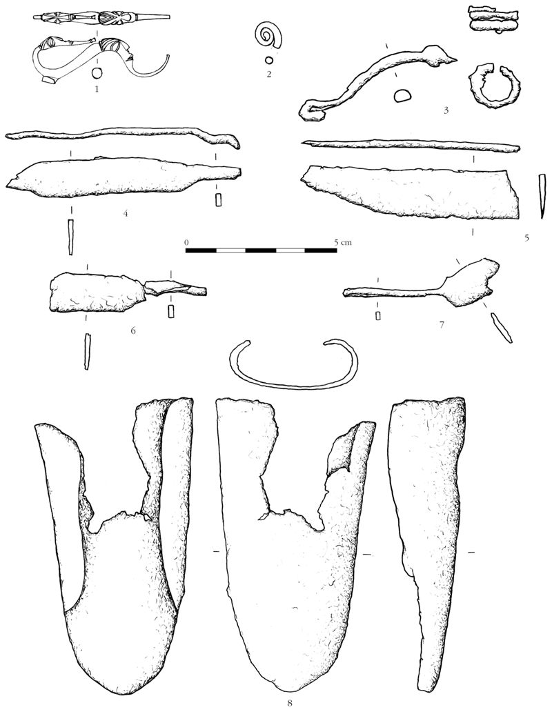  1. Fibule en bronze ; 2. Fragment de la spirale en bronze ; 3. Fragments d’une fibule en fer. 4 à 8. Objets en fer.